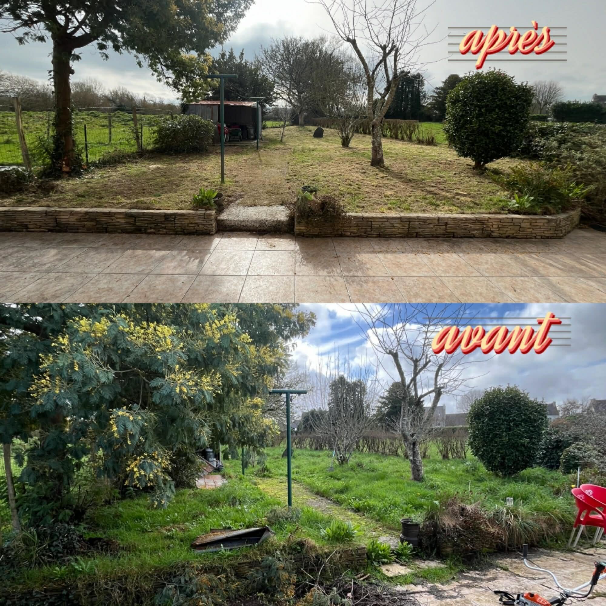 Débroussaillage de jardin avant après