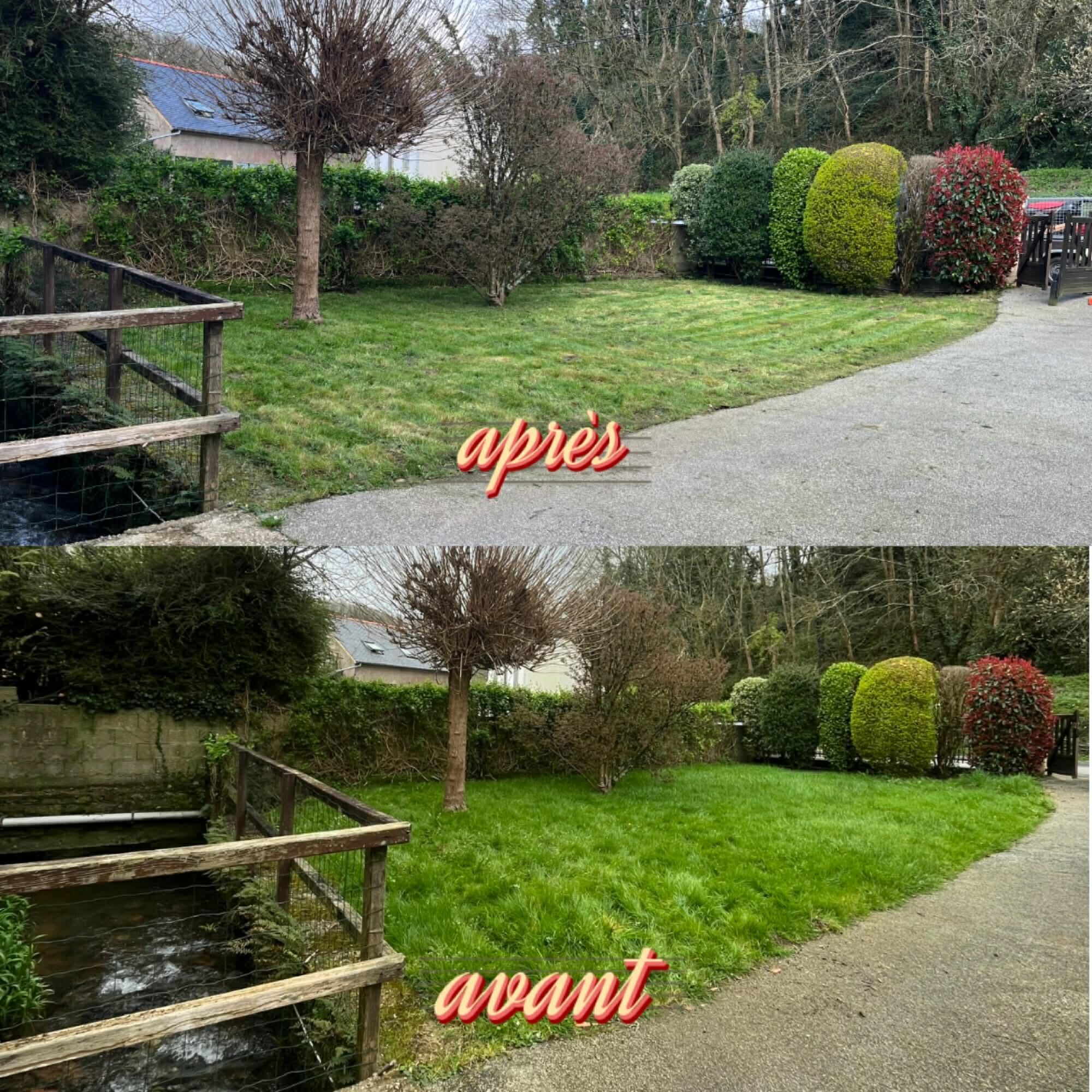 Entretien allée et haies avant après